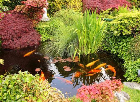 15 Koi Pond Ideas That Promise Pure Tranquility .